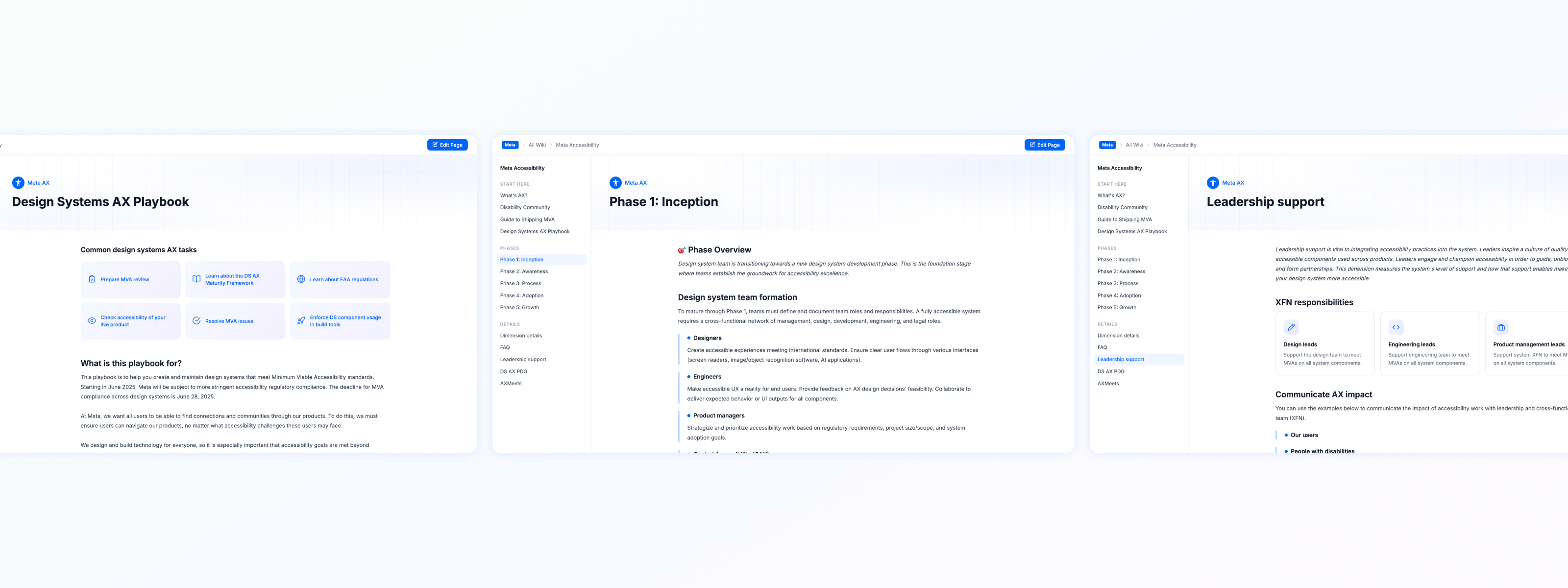 Program Overview — accessibility design systems dashboard
